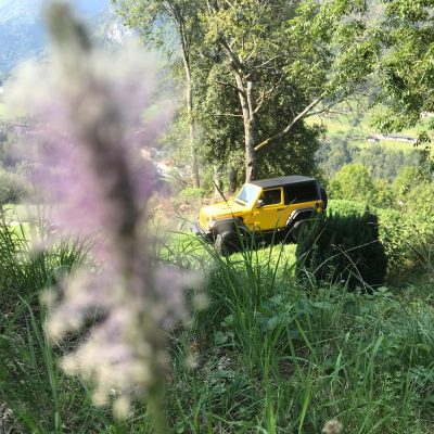 Jeep-Fleur Vue_artistique